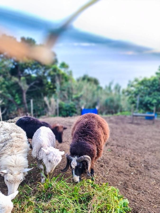 Quinta Do Caminho Da Igreja Ter-Casas De Campo Velas Esterno foto